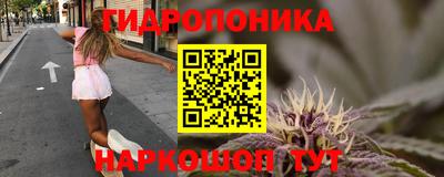 прущие грибы Бузулук